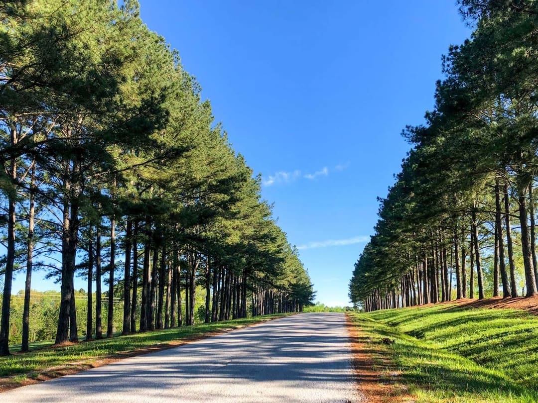 Property Map of Twin Creeks Marina & Resort